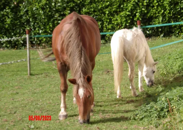 Le Cheval D\'En Fer