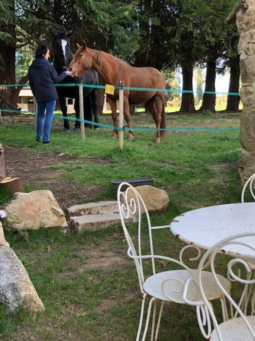 Le Cheval D'en Fer