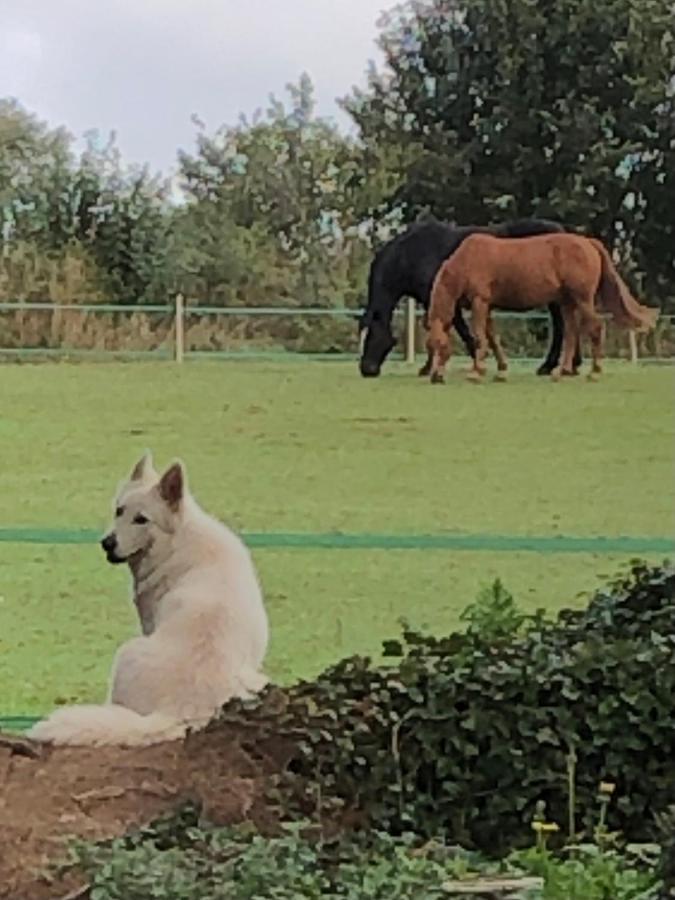 Le Cheval D'en Fer