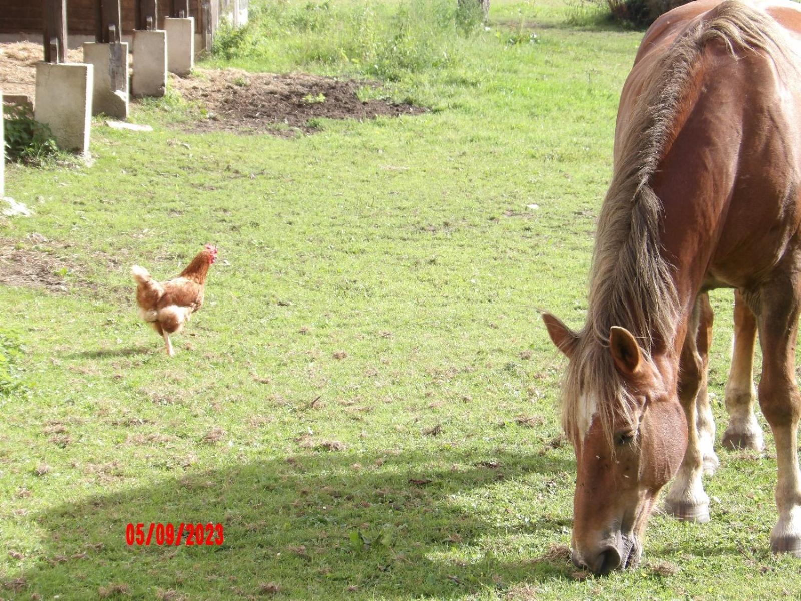Le Cheval D'en Fer Ferienhaus Bégard